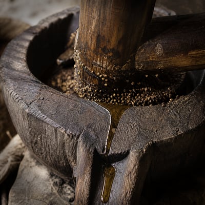 Detail of the wooden kachi ghani press, crushed mustard seed on the timber and oil beading down the grain
