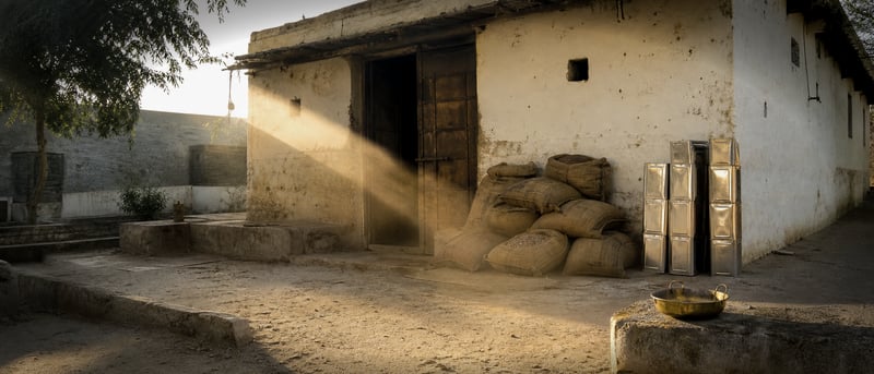 Courtyard of the Bharat Oils mill in Rajasthan at dawn, jute sacks of mustard seed stacked against a lime-washed wall